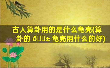 古人算卦用的是什么龟壳(算卦的 🐱 龟壳用什么的好)